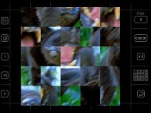 Moving Puzzle: Cats screenshot #7