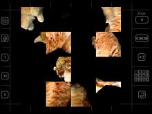 Moving Puzzle: Cats screenshot #8