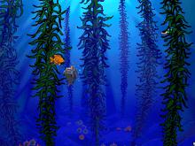 Magic School Bus, The: Explores the Ocean screenshot #13