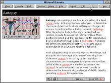 Microsoft Encarta '94 screenshot #2