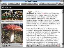 Microsoft Encarta '94 screenshot #5