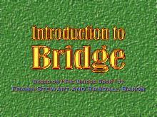 Perfect Partner Bridge screenshot #9