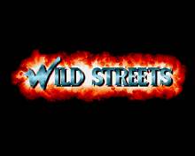 Wild Streets screenshot #2