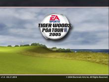 Tiger Woods PGA Tour 2005 screenshot #1