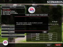 Tiger Woods PGA Tour 2005 screenshot #11