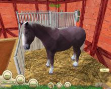 Paws & Claws: Pet Vet screenshot #14