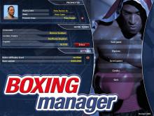 Boxing Manager screenshot #10