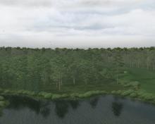 Tiger Woods PGA Tour 08 screenshot #15