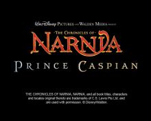 Chronicles of Narnia, The: Prince Caspian screenshot #1