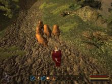 Gothic 3: Forsaken Gods screenshot #8