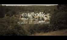 Casebook: Episode III - Snake in the Grass screenshot #1