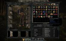 Divinity II: Ego Draconis screenshot #14