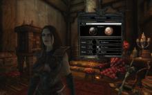 Divinity II: Ego Draconis screenshot #3