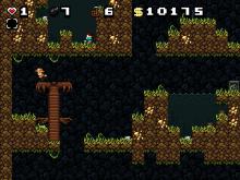 Spelunky screenshot #11