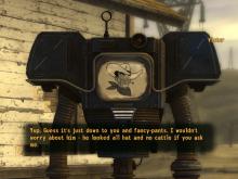 Fallout: New Vegas screenshot #15