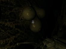 Duke Nukem Forever screenshot #13