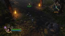Dungeon Siege III screenshot #7