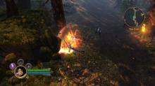 Dungeon Siege III screenshot #8