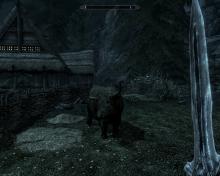 Elder Scrolls V, The: Skyrim screenshot #8