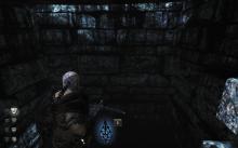 Hunted: The Demon's Forge screenshot #8