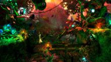 Trine 2 screenshot #10