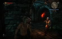 Witcher 2, The: Assassins of Kings screenshot #15