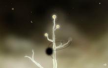 Botanicula screenshot #3