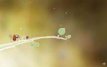 Botanicula screenshot #5