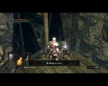 Dark Souls: Prepare to Die Edition screenshot #8