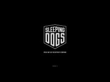 Sleeping Dogs screenshot
