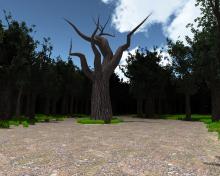 Slender: The Eight Pages screenshot #3