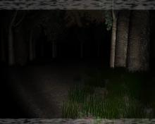 Slender: The Eight Pages screenshot #5