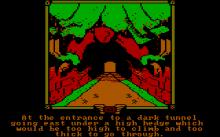 Fellowship of the Ring, The screenshot #4