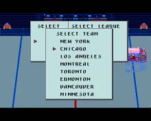 Blades of Steel screenshot #3