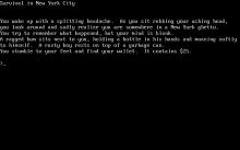 Survival in New York City screenshot #3