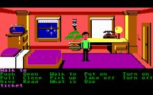 Zak McKracken and the Alien Mindbenders screenshot #15