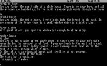 Zork 1 screenshot #4