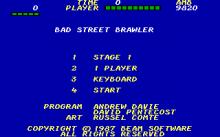 Bad Street Brawler screenshot #10
