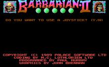 Barbarian 2 screenshot #4