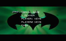 Batman Forever screenshot #3