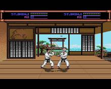 Budokan: The Martial Spirit screenshot #5