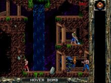 Blackthorne screenshot #13