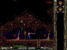Blackthorne screenshot #9