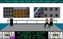 Bruce Lee Lives: The Fall of Hong Kong Palace screenshot #6