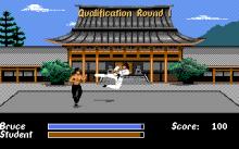 Bruce Lee Lives: The Fall of Hong Kong Palace screenshot #7