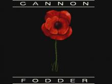 Cannon Fodder screenshot #8