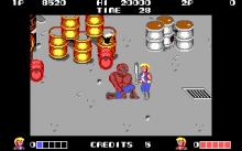 Double Dragon screenshot #10