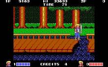 Double Dragon screenshot #2