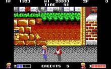 Double Dragon screenshot #4