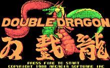 Double Dragon screenshot #6